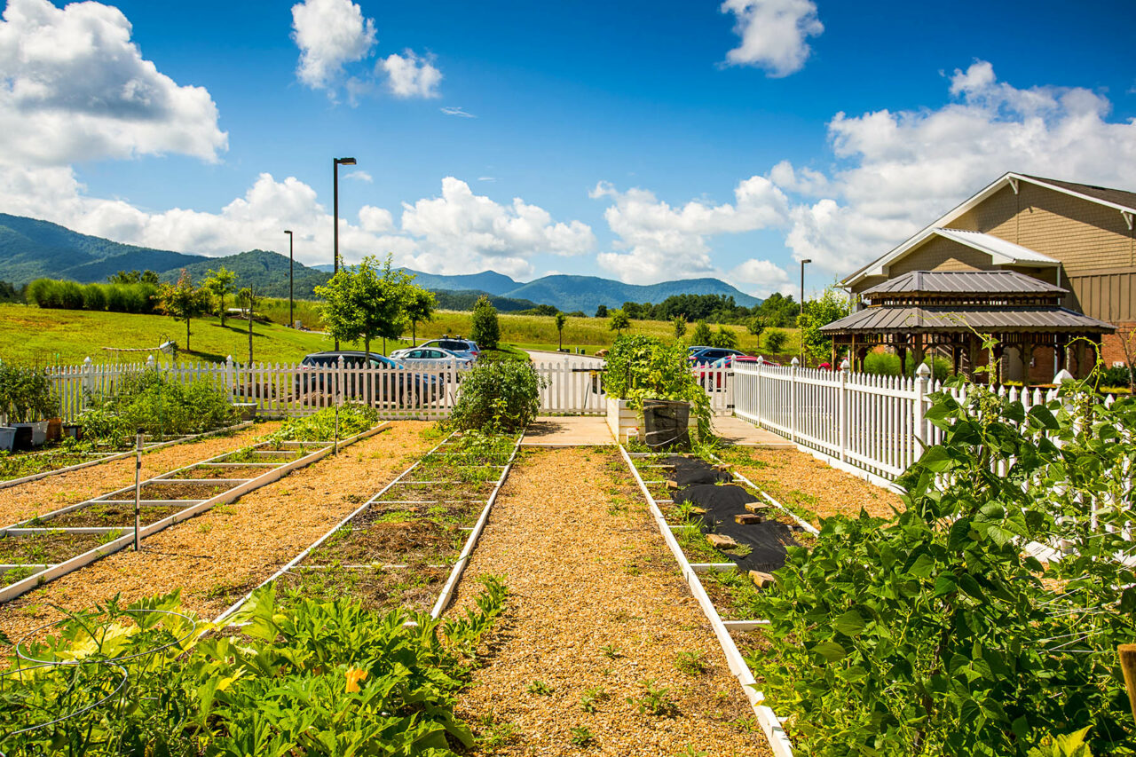 The Gardens Young Harris Investors Management Company Real Estate